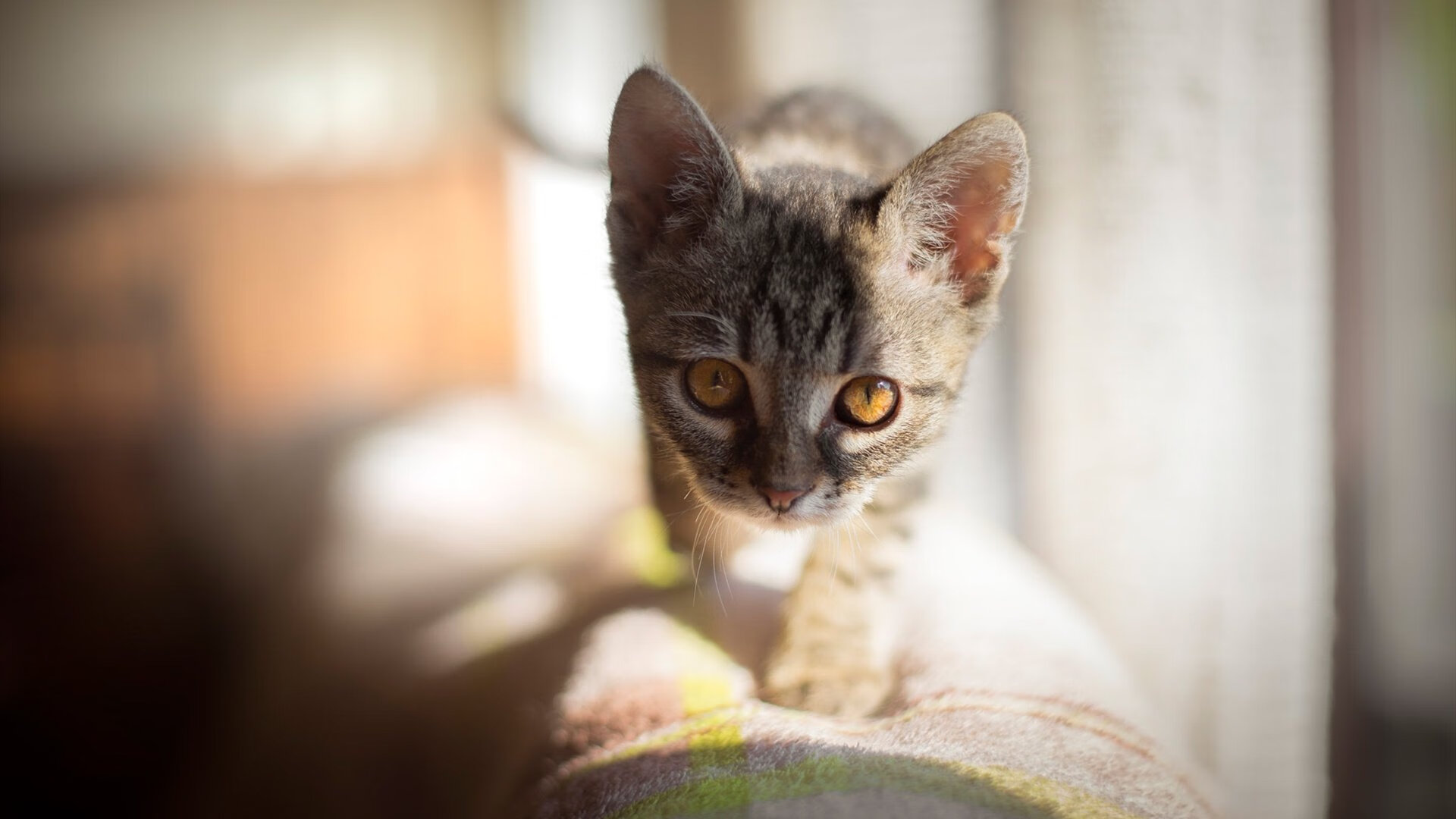 爱游戏官网充值-中超球员年度平均触球次数排行，中超球员的平均年薪