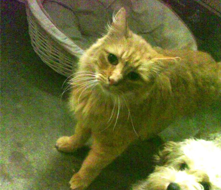 爱游戏下载-体育场馆低碳运行机制与能耗监控系统构建，体育场馆的环保设计